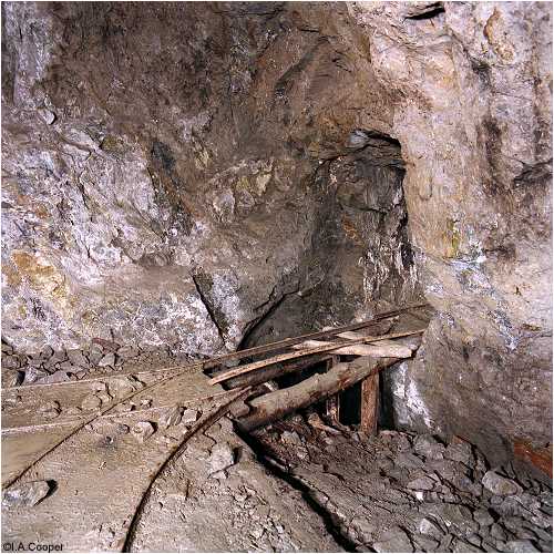 Level Fawr