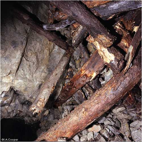 Level Fawr