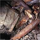 Cwmystwyth Mine