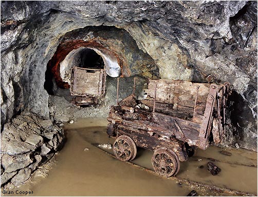 Abandoned Trucks
