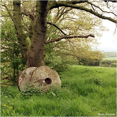 Old Mill Stones
