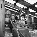Lion Salt Works