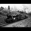 Breakdown Train