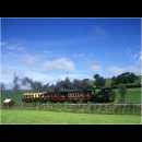 Welshpool & Llanfair 'Countess'